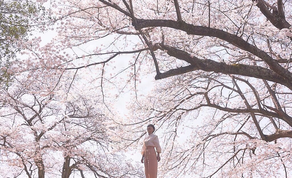 自身の誕生の季節でもある満開の桜の下で、天を仰ぎ佇む石川真理子。命のうつろいを儚み、すべての存在を慈しむ愛の境地を体現する姿。