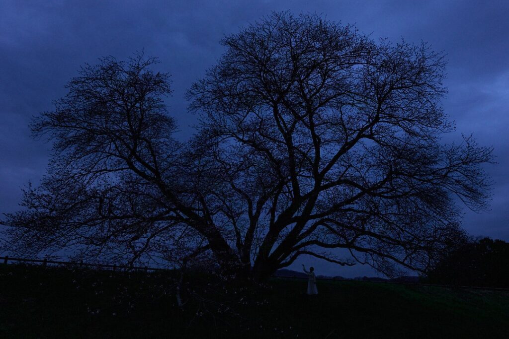 薄明かりの中、巨大な桜のシルエットの下で静かに天を仰ぐ石川真理子。誰も見ていない場所で平和を祈る「慎独（しんどく）」の時間を表現した一枚。