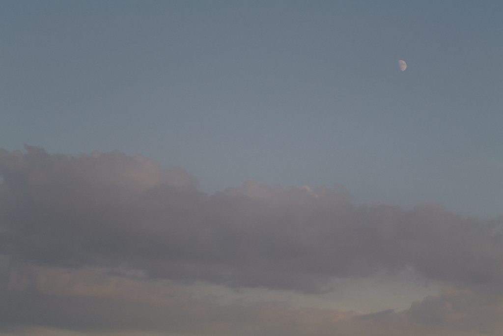 夕暮れの薄暗い空に浮かぶ半月。下部にはピンクがかった灰色の薄い雲が広がっている。