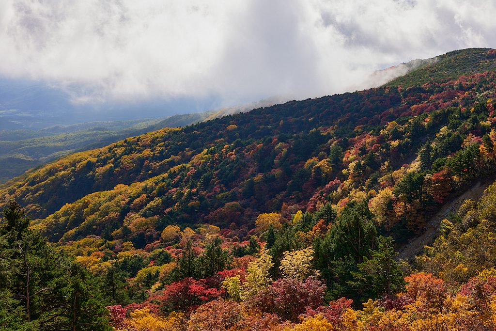 雲がたなびく山の斜面一面に、赤・黄・橙の紅葉と常緑樹の緑が錦のように広がる秋の風景
